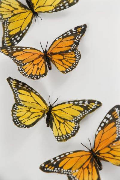 Decorative Monarch Butterflies&nbsp;|&nbsp;6 Pk