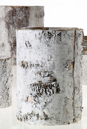 white washed birch bark vase 10 x 7in