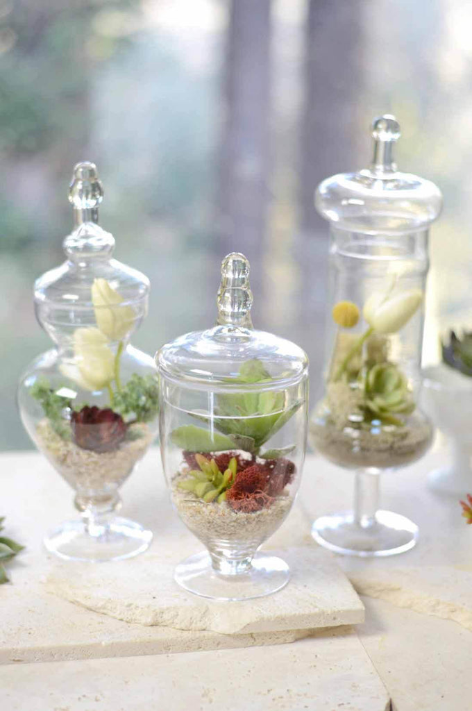Mason Craft and More 2L Apothecary Glass Jars w Glass Lids - Set
