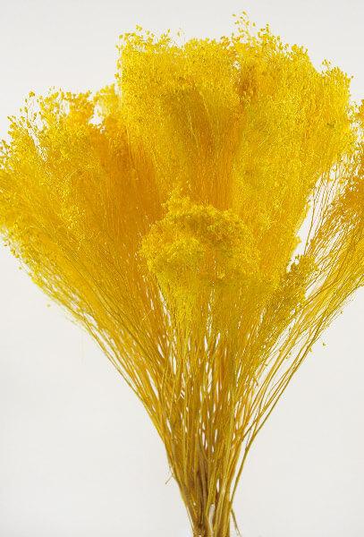 yellow gyp baby s breath 18in
