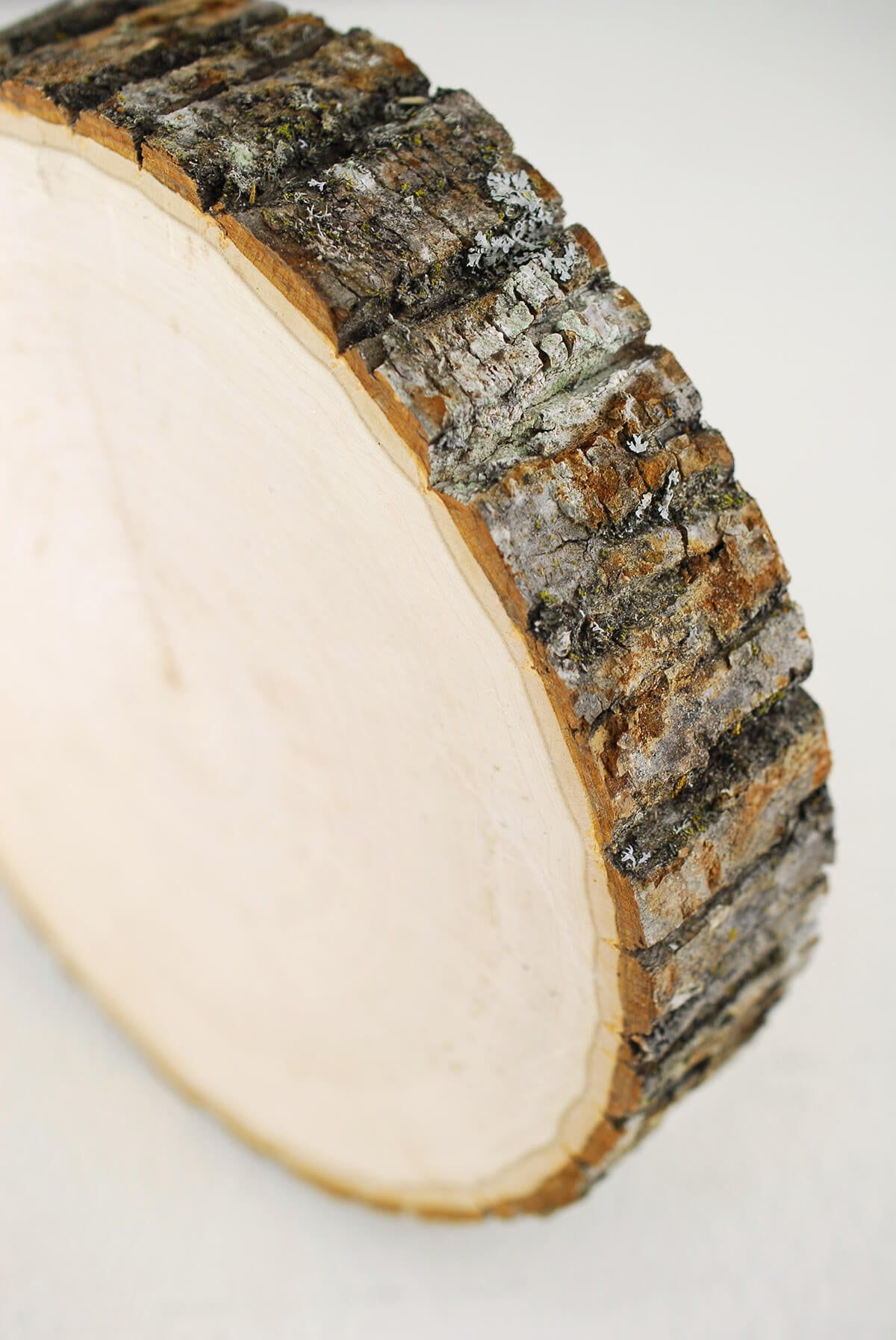 Richland Basswood Tree Slice with Bark 8\-12\ Natural, Men's, Size: One Size