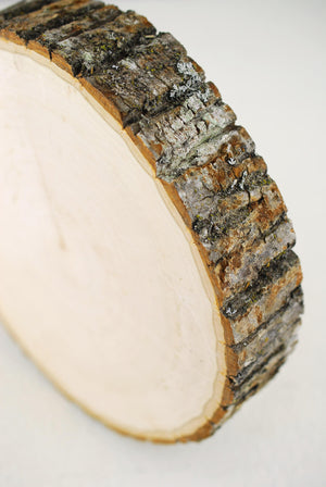 Wood Slice  8-12" Round