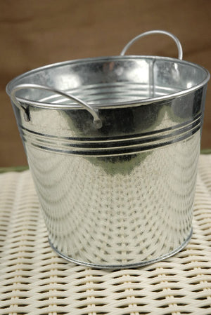 Galvanized Metal Pail with Liner 5.5in