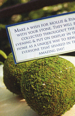 natural moss balls 2 inch 6 balls