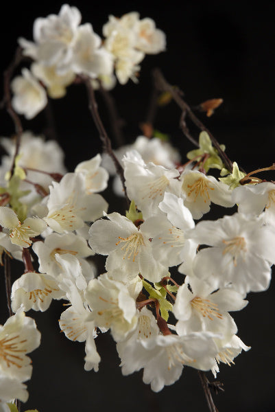 hanging cherry blossom branches white silk artificial 58
