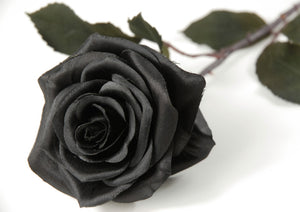 Black Silk Roses