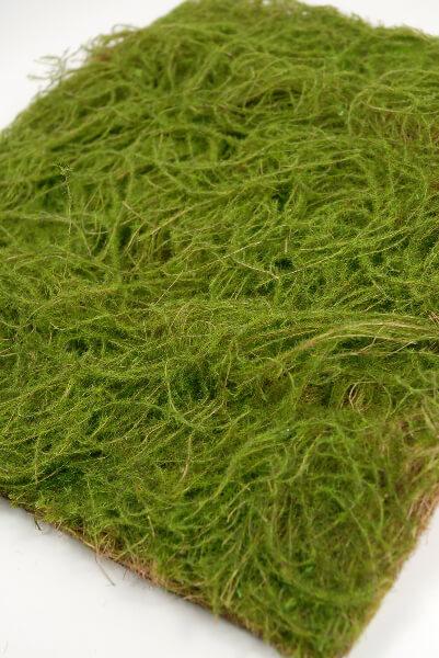 square water sphagnum moss sheet green 14x14
