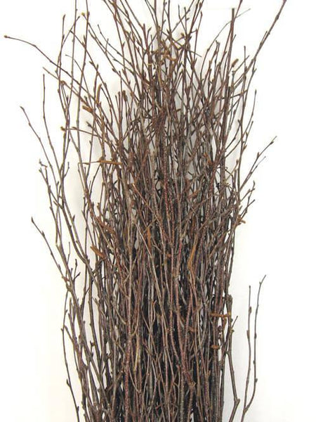 Birch Branches, L: 50-60 cm, 20 pc
