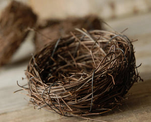 9 - 3 Inch Natural Twig Tiny Bird Nests, Bulk Buy