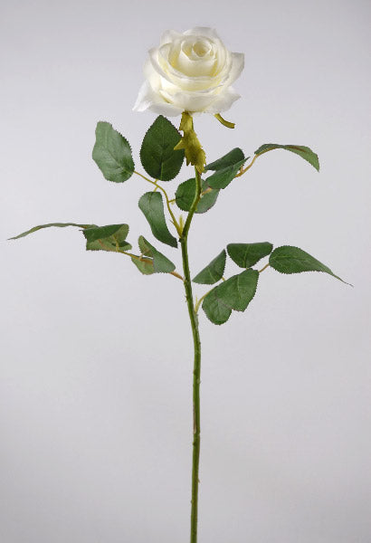 cream white long stem silk roses 27