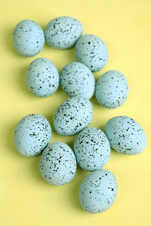Dozen Ceramic Turquoise Eggs in Box