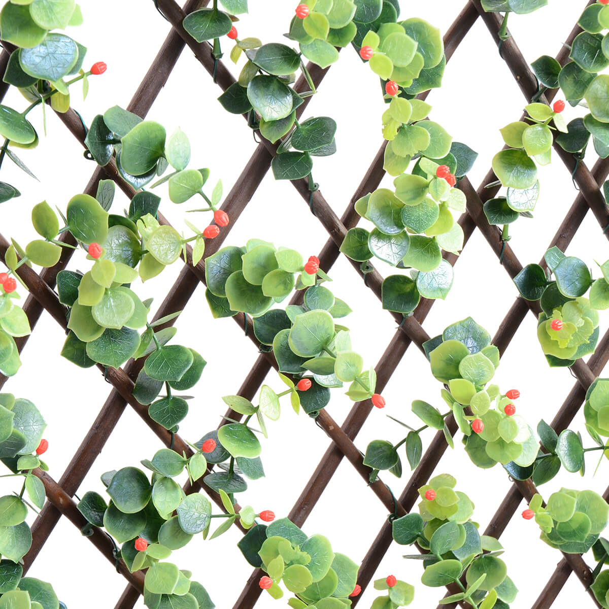expandable trellis ilex and red berries 78 x 39