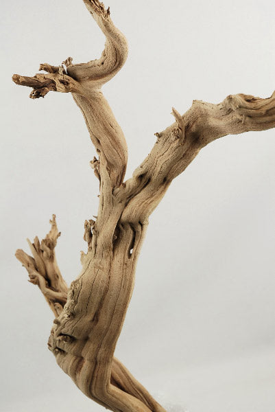 Natural Ghostwood Branch Sandblasted 10-14 in (California Driftwood) -  Save-On-Crafts