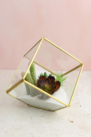 glass terrarium cube brass 4 7in