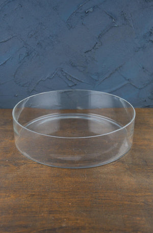 clear glass terrarium dish 3in x 12in