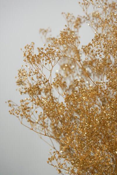 Baby's Breath – SSISC
