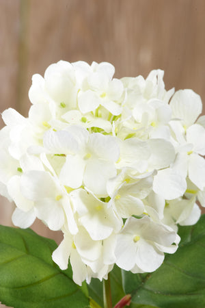Silk Cream White Hydrangea Flowers 5in Bloom