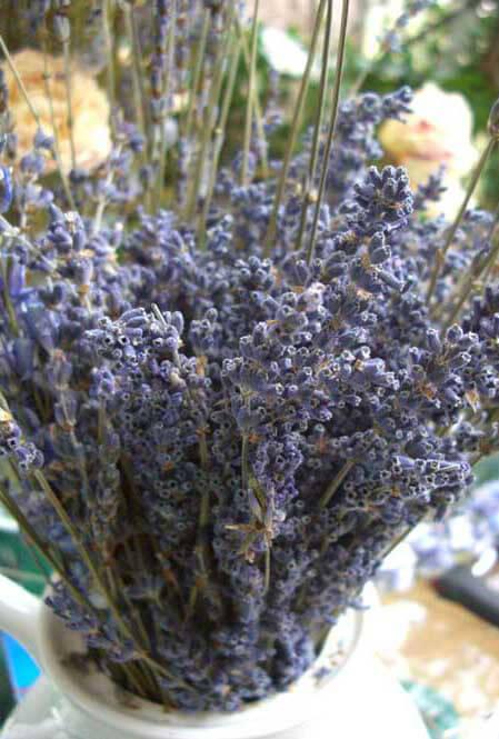 Premium Dried Lavender Flowers