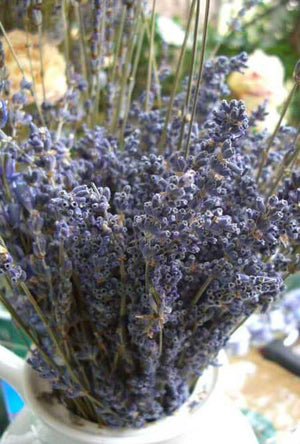 lavender flowers air dried premium blue fragrant 90 stems