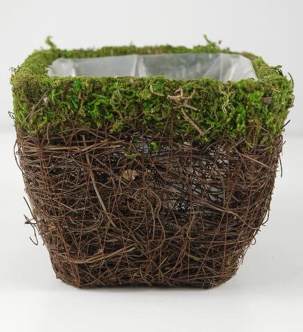 moss and wicker square pot 5in