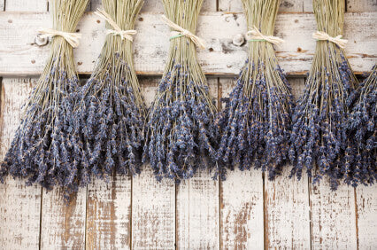 Natural Lavender Buds Stems Fragrant 120 Stems by Quick Candles