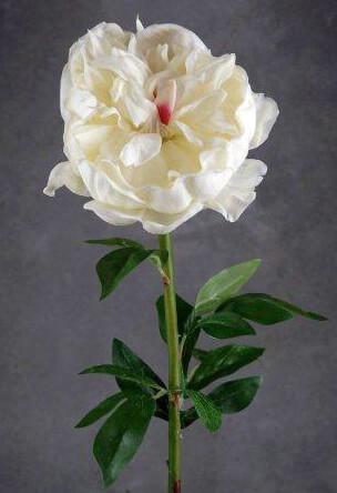 natural touch large cream white peony flowers