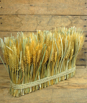 Natural Preserved Wheat Bundle 10"x 15"