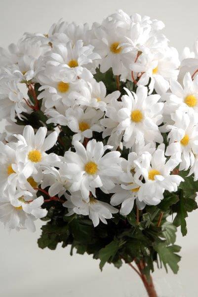 silk white daisies bouquet 72 flowers