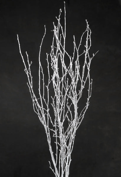 Silver Birch Tree Branches 3-4 ft (4 branches)