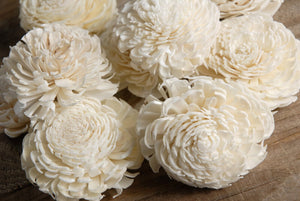 Sola Flowers 2-2.5" Cream White Chorki (12 flowers)