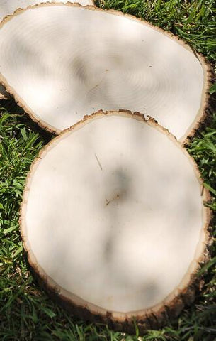 5 Pack 7-9 Inch Natural Wood Slices for Centerpieces, Wood Slice