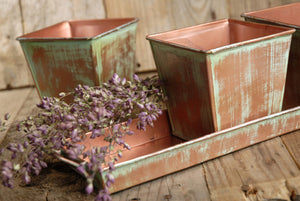 Verdigris Copper Herb Planters & Tray 12in
