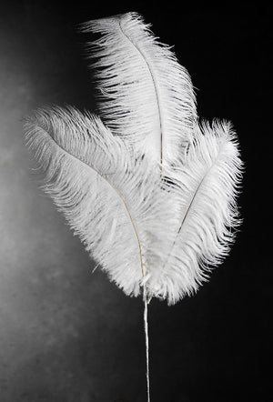 3 White Ostrich Feathers on Wire Stem - Save-On-Crafts