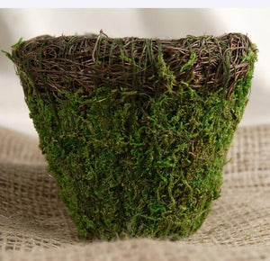 wicker and moss planter 5in round